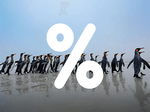 Deals & Promotions POL