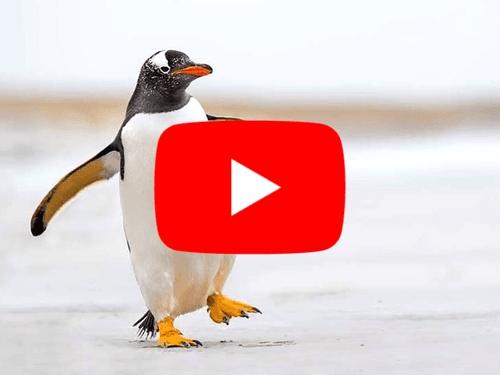 YouTube Thumbnail POL Menu